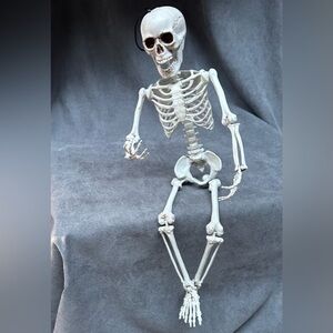 24” posable skeleton plastic articulated